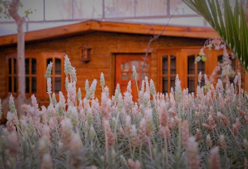 بنگله خانوادگی, Don Pepe Hotel Y Cabañas