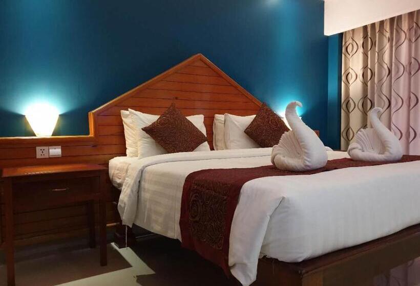 اتاق سوپریور با تخت بزرگ, Aristocrat Residence &