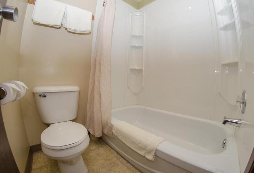 Номер Стандарт 2 Двуспальные Кровати, Plains Motel