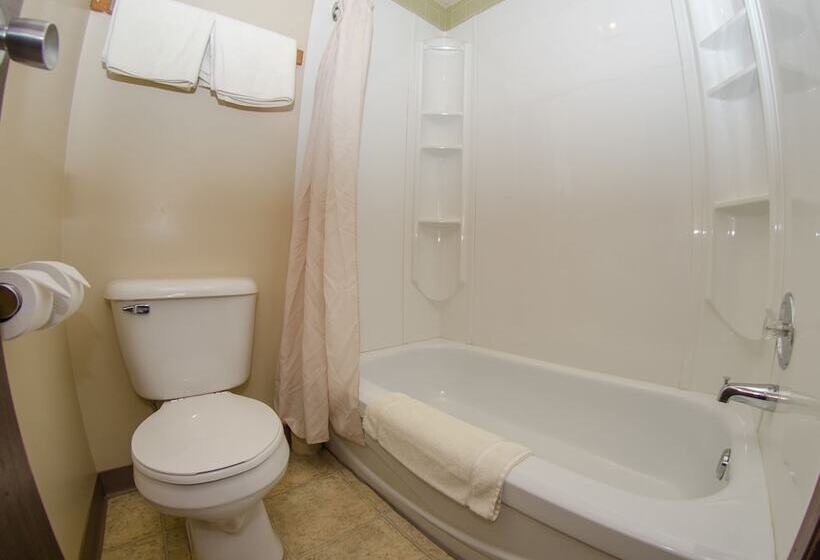 Номер Стандарт 2 Двуспальные Кровати, Plains Motel