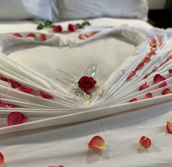 استودیوی استاندارد, Max Executive Apartments