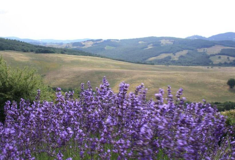 Апартаменты 2 Спальни, Agriturismo Materno