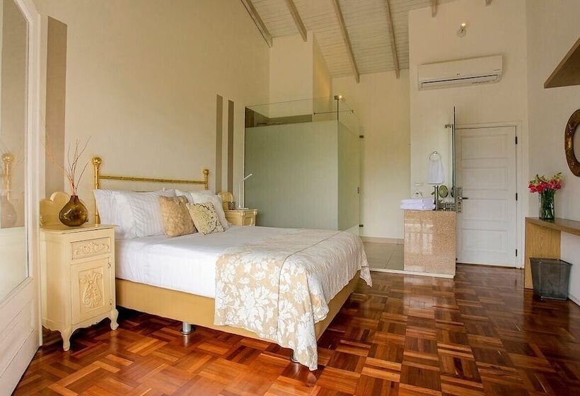 اتاق استاندارد با تخت دوبل, Boutique El Triángulo