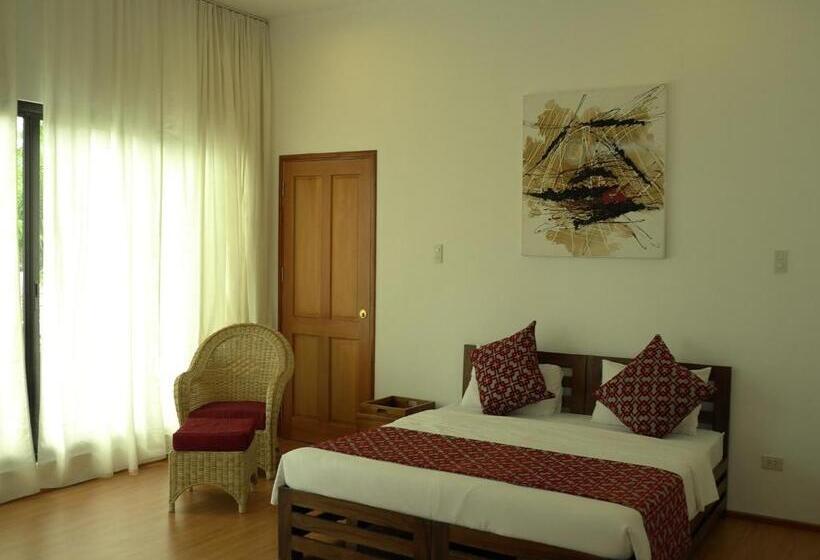 패밀리 룸, Sea Dream Resorts