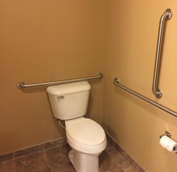 Стандартный Номер Кровать Кинг, Cobblestone Inn & Suites  Newton
