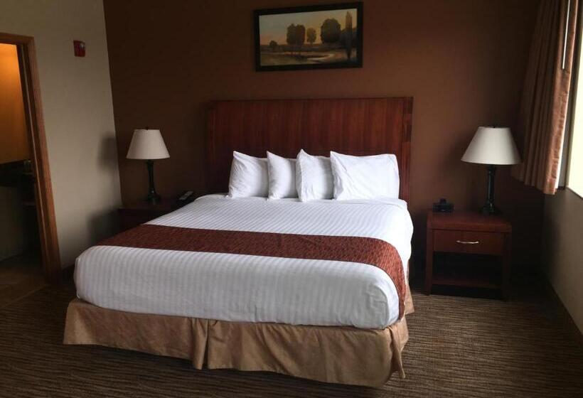 Стандартный Номер Кровать Кинг, Cobblestone Inn & Suites  Newton