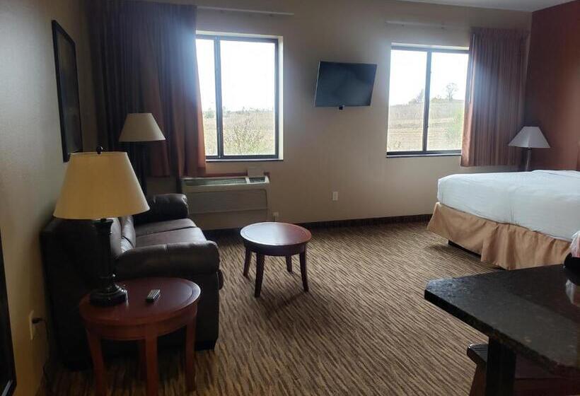 带大床的标准间, Cobblestone Inn & Suites  Newton