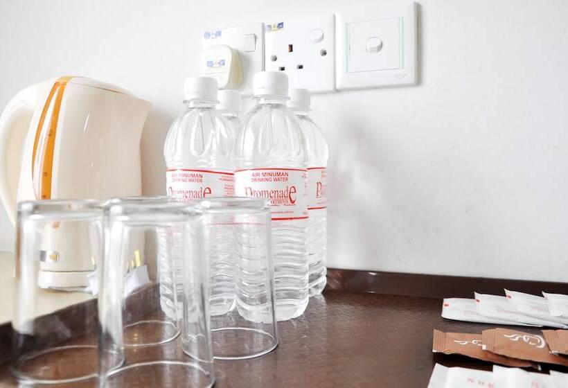 חדר משפחתי, Promenade Service Apartments