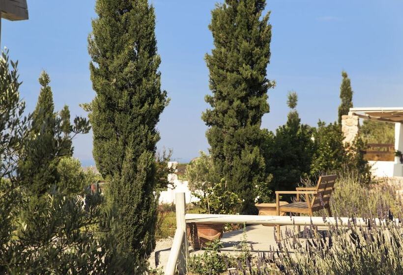 ویلای یک اتاق خوابه با استخر شنا, Christou Estate