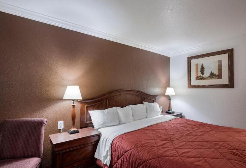 Стандартный Номер Кровать Кинг, 1st Interstate Inn