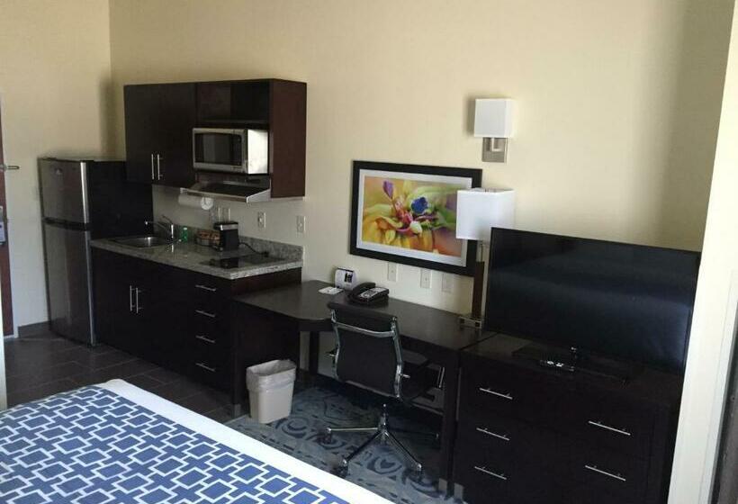 Номер Стандарт, Suburban Studios Donaldsonville   Gonzales
