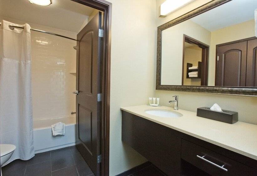 Студия Стандарт, Staybridge Suites Austin South Interstate Hwy 35, An Ihg