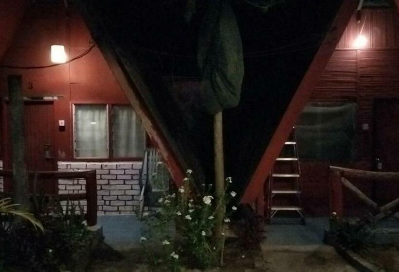 Номер Стандарт, Nazri Nipah Camp