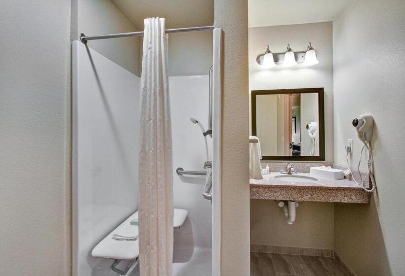 장애인을 위한 킹사이즈 침대 스탠다드 룸, Cobblestone Hotel & Suites Pulaski/green Bay