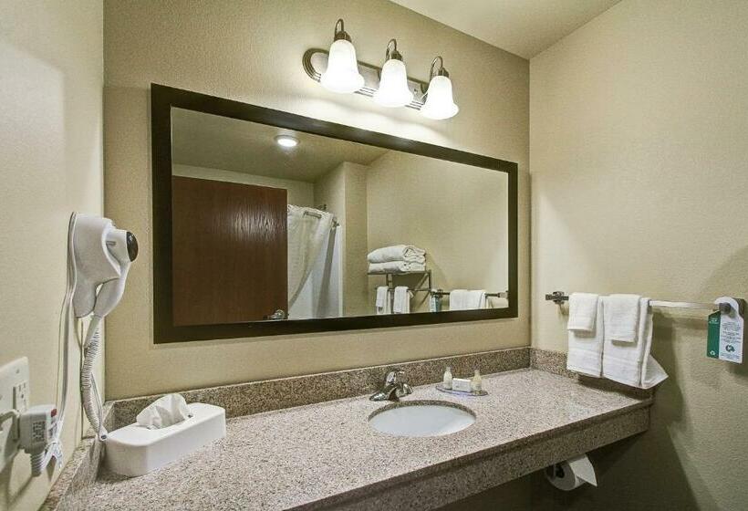 스탠다드 룸 킹사이즈 침대, Cobblestone Hotel & Suites Pulaski/green Bay