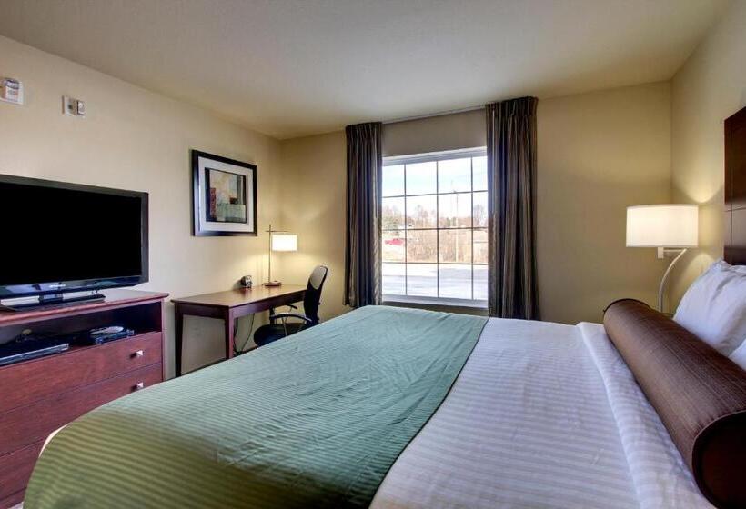 Стандартный Номер Кровать Кинг, Cobblestone Inn & Suites  Hartington