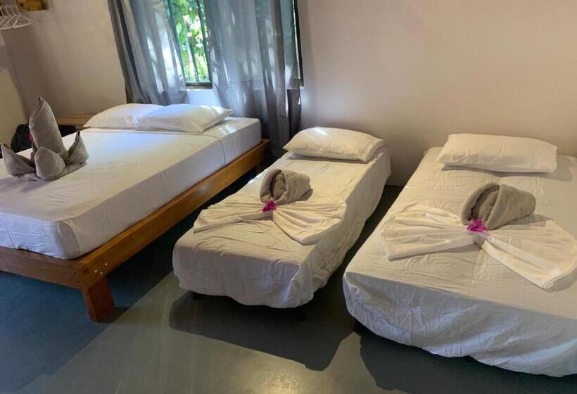 اتاق استاندارد چهار تخته, Beach Front Bahia