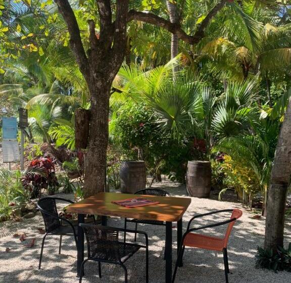 آپارتمان 1 خوابه با تراس, Beach Front Bahia