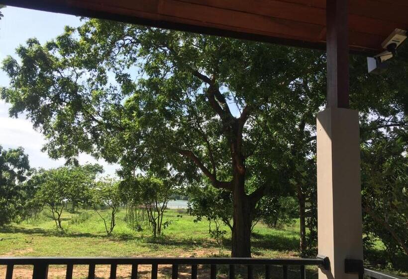 Quarto Estandar, Saffron Lake Yala