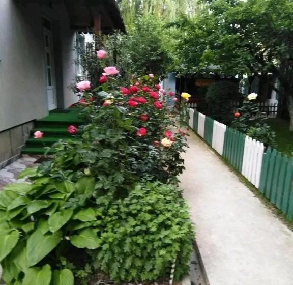 اتاق استاندارد با سرویس بهداشتی مشترک, Vila   Creta