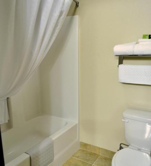 Номер Стандарт, Cobblestone Inn & Suites  Lake View