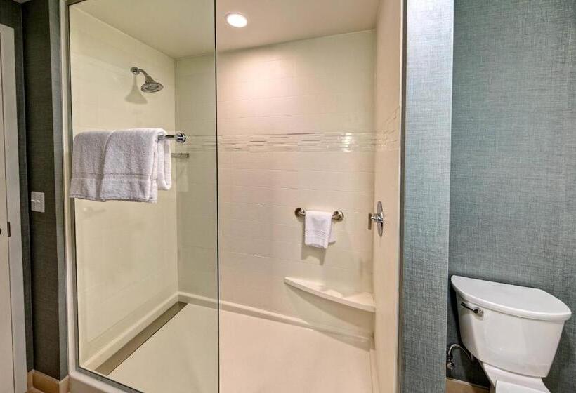 带大床的标准工作室, Residence Inn By Marriott Kansas City Downtown/convention Center
