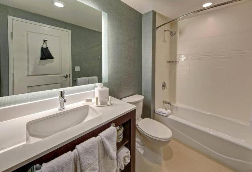 套房, Residence Inn By Marriott Kansas City Downtown/convention Center