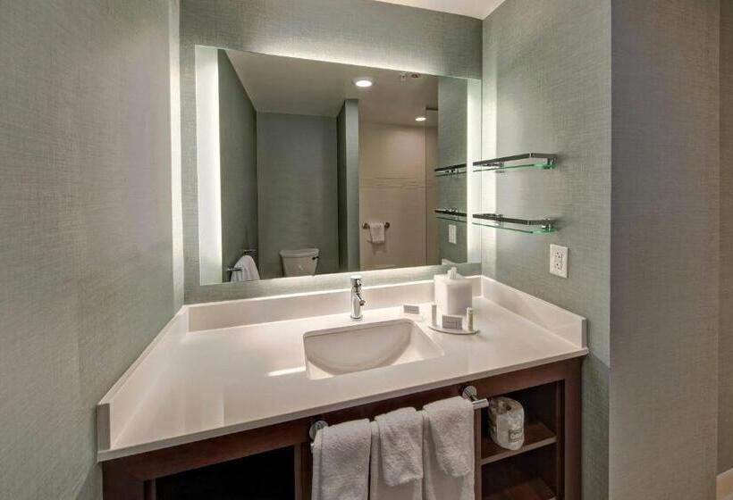 סטודיו דלוקס, Residence Inn By Marriott Kansas City Downtown/convention Center