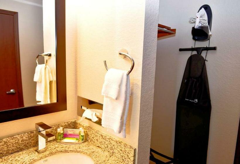 Стандартный Номер Кровать Кинг, Cobblestone Inn & Suites  Monticello