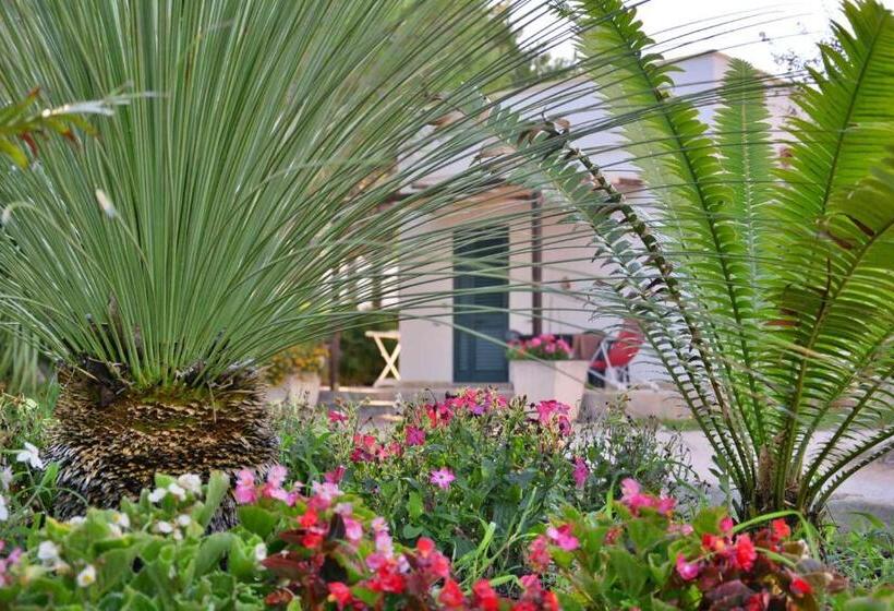 استودیوی استاندارد, Masseria Lama