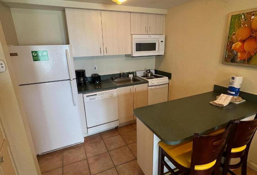 Студия Deluxe, Enchanted Isle Hollywood Beach Resort