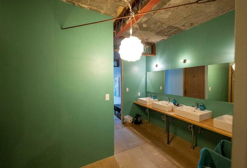 Номер Стандарт, Kamp Houkan Cho Backpacker S Inn & Lounge