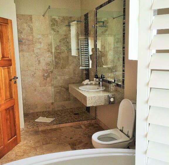Люкс, Arniston Spa