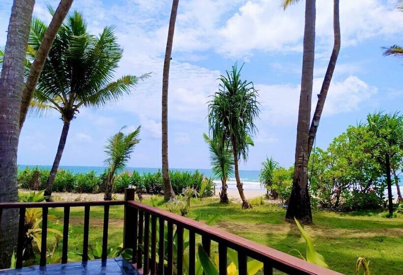 بانگلوی لوکس, Emerald Sea Resort