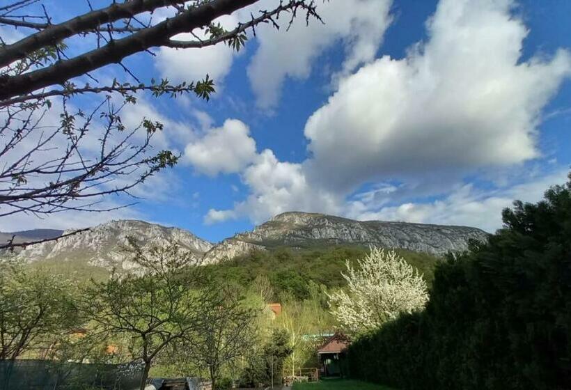 Номер Стандарт Вид на Горы, Casa Peneșel