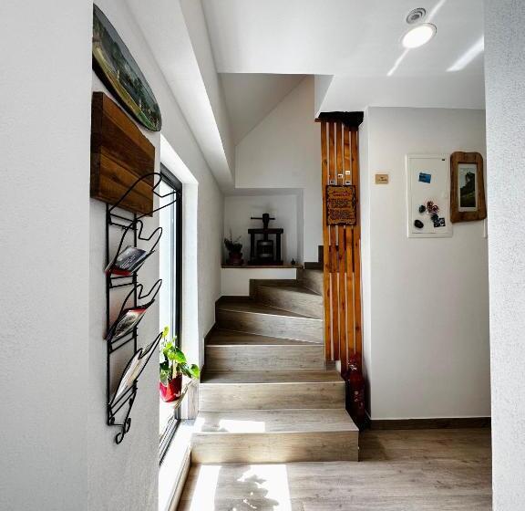 اتاق لوکس, Slovenian House Vida