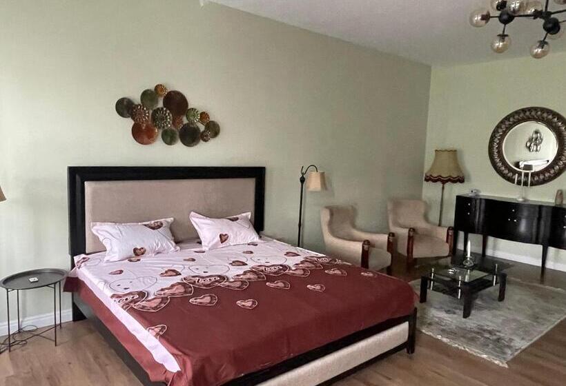 آپارتمان سوپریور 1 خوابه, Cozyflat In The Central Arad