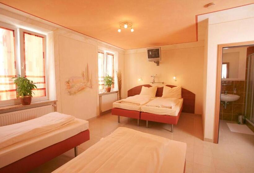 Номер Стандарт Трехместный, Stadthotel Passau