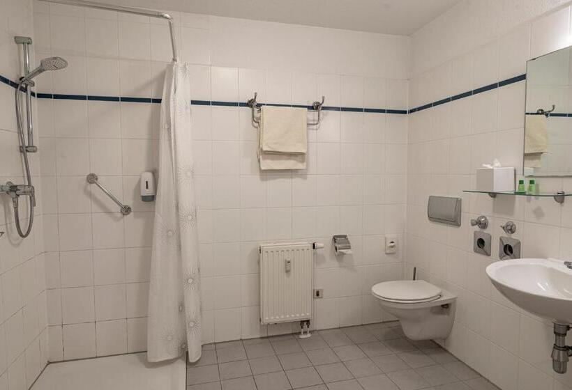Апартаменты 1 Спальня, Birschelmuhle