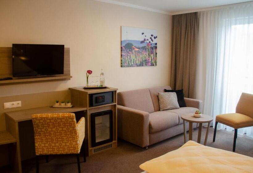 Quarto Estandar Vista Rio, Morjan
