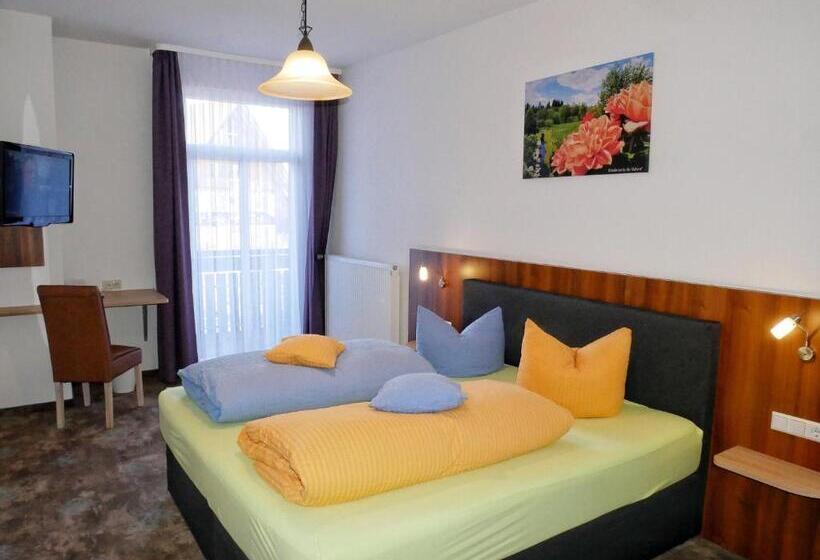 Номер Комфорт, Wochner S Hotel Sternen Am Schluchsee Hochschwarzwald