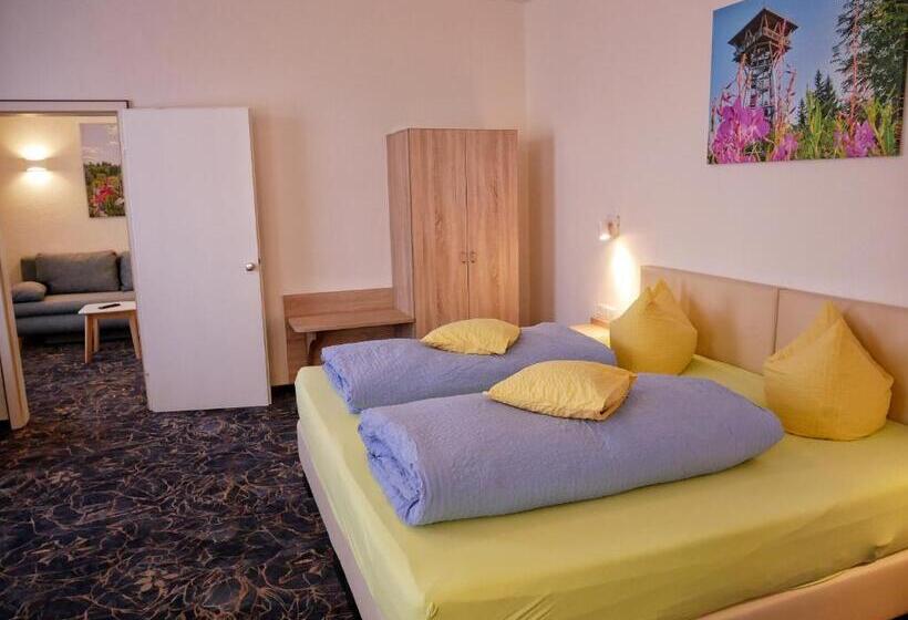 Номер Комфорт, Wochner S Hotel Sternen Am Schluchsee Hochschwarzwald