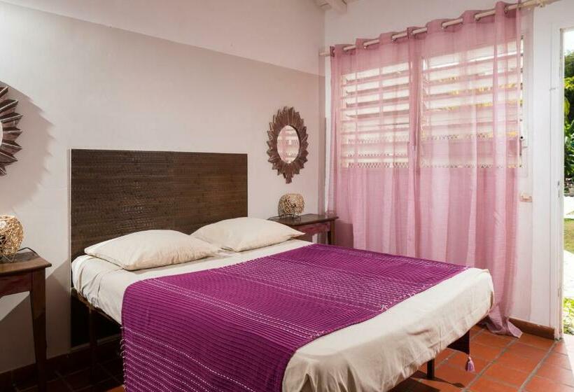 اتاق استاندارد با چشم‌انداز استخر, Hôtel Les Bananiers