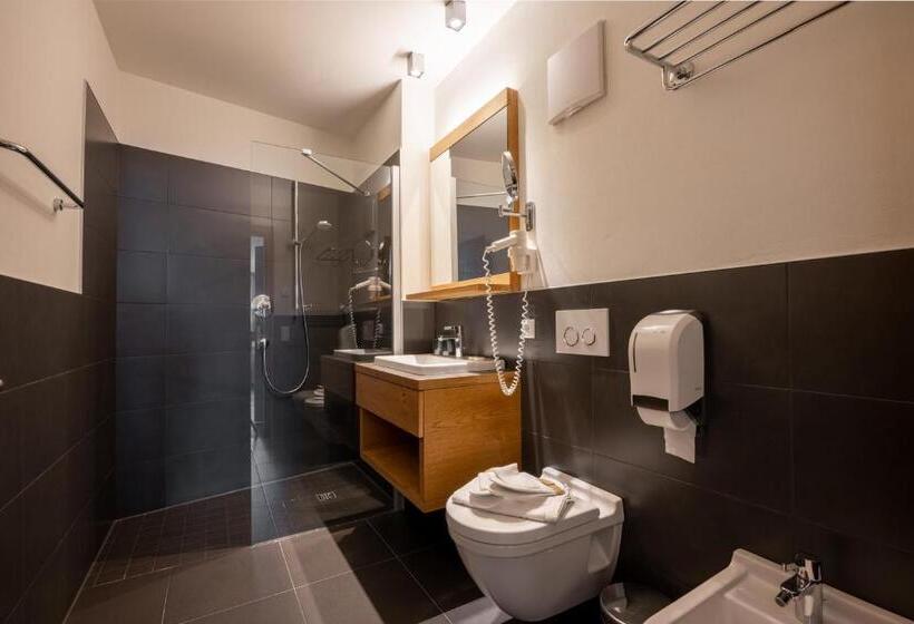 Апартаменты 1 Спальня с Балконом, Residence Sägemühle