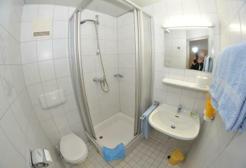 Номер Стандарт Индивидуальный, Marschalls Hotel Am Rennsteig