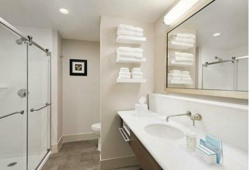 اتاق استاندارد با تخت بزرگ, Hampton Inn Elko