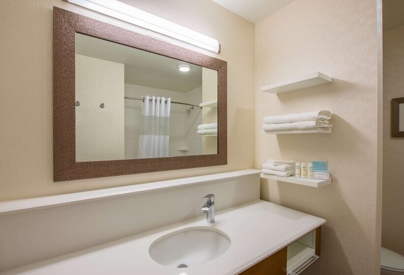 장애인을 위한 스탠다드 룸, Hampton Inn & Suites Phoenix East Mesa