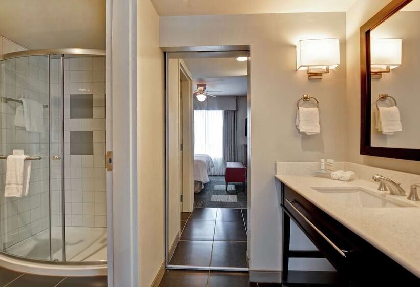 Люкс, Homewood Suites By Hilton Techridge Parmer @ I 35