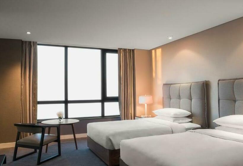 标准间, Hyatt Centric Montevideo