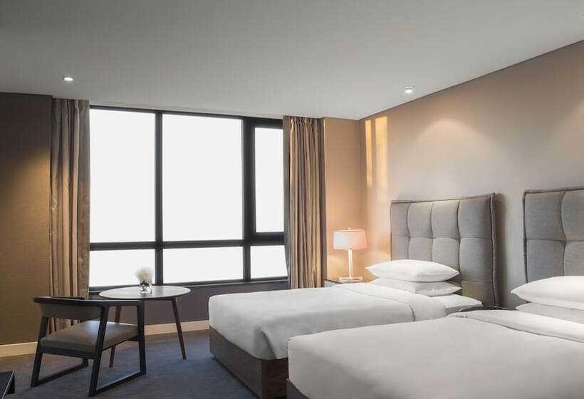 标准间, Hyatt Centric Montevideo